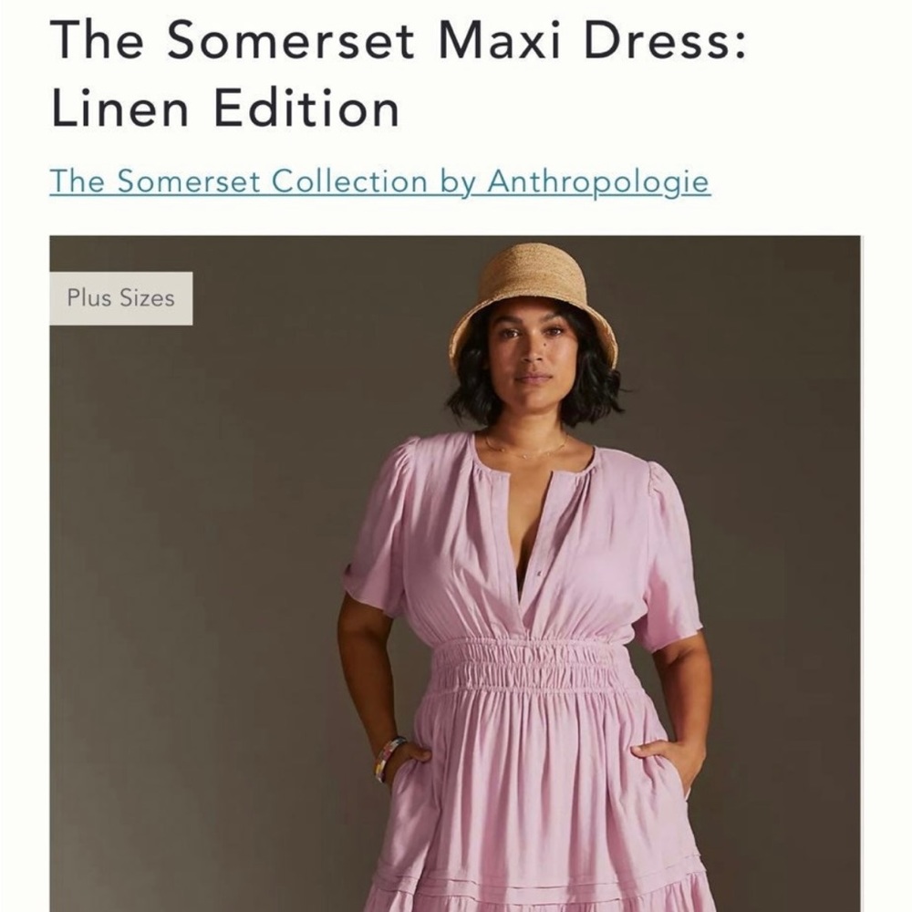 Anthropologie Somerset linen dress 1x